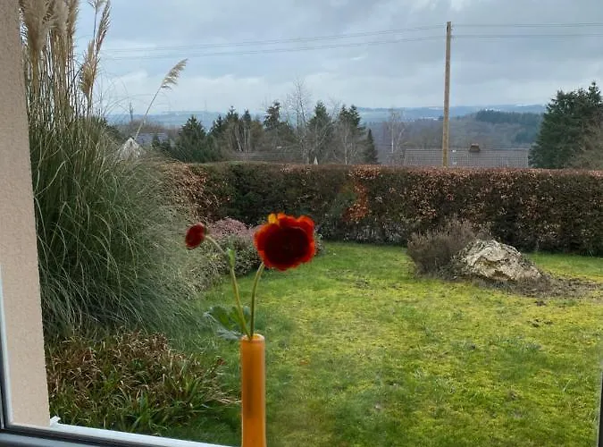 Casa Royale, Boxspring, Wifi, Xxl-parking, E-wallbox * Gutweiler